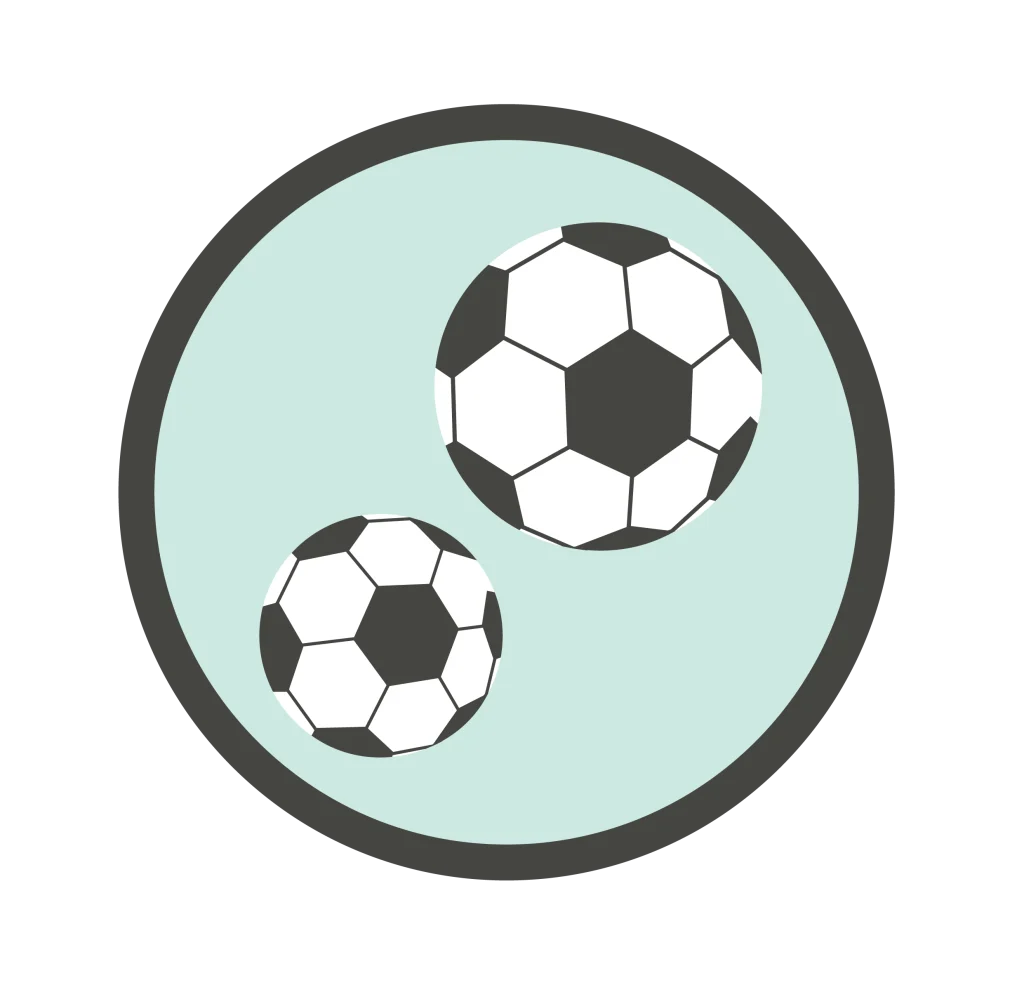 Two soccer balls